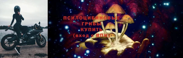 сатива Балахна