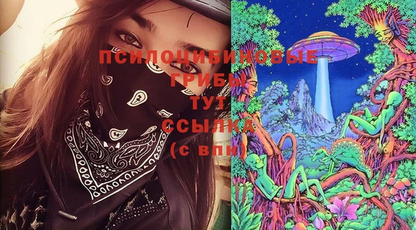 сатива Балахна