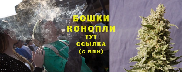 ГАЛЛЮЦИНОГЕННЫЕ ГРИБЫ Балабаново