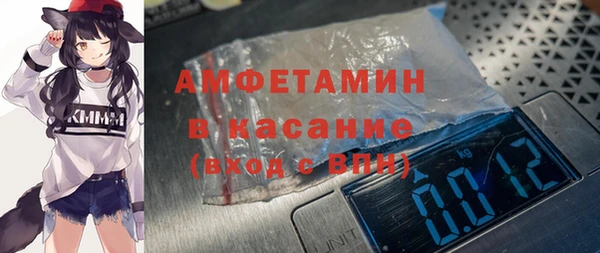 сатива Балахна