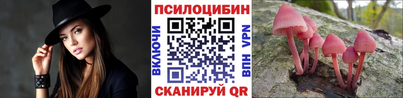 купить наркотики сайты  Хилок  Псилоцибиновые грибы MAGIC MUSHROOMS 